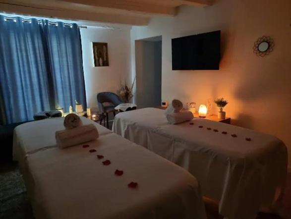 Majord'Home Spa 4*-L'Elegance-Balneo Vieille Ville Annecy Buitenkant foto